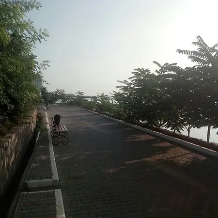 Near The Sea *